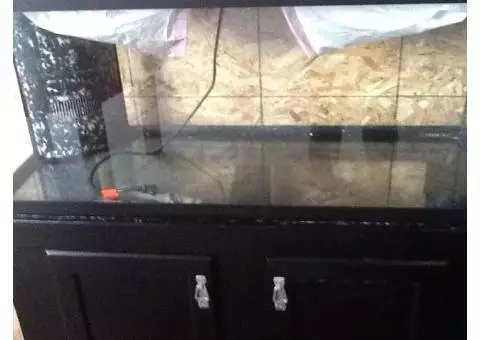 150 Gallon fish tank with complete salt water setup