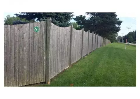 Cedar Fence