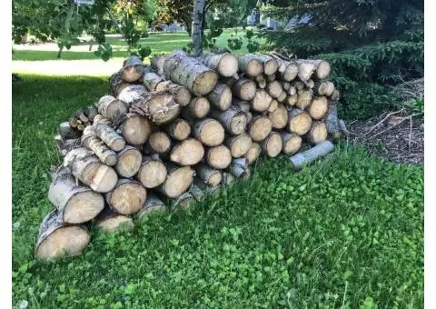 Free Logs